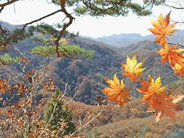 郑大医院第一附属医院神经内科专家,实地解答解释定义_静态版33.35.22